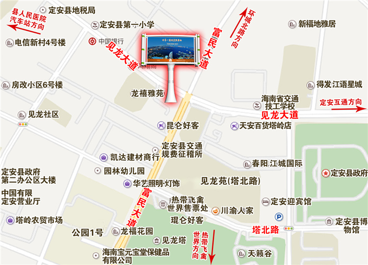 1628500483440645.jpg 21-定安见龙21号.jpg